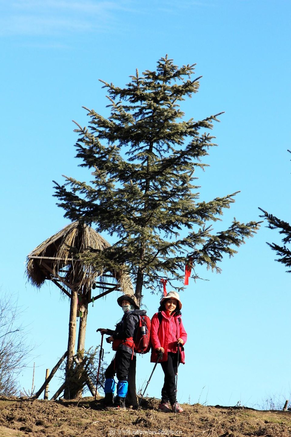 mmexport1544026159325