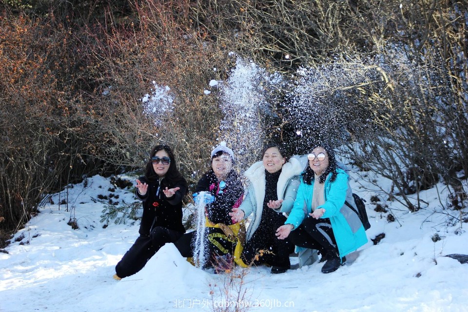 mmexport1544025840666