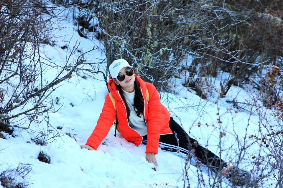 mmexport1544025694518