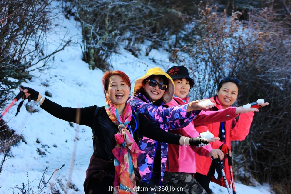 mmexport1544025509020