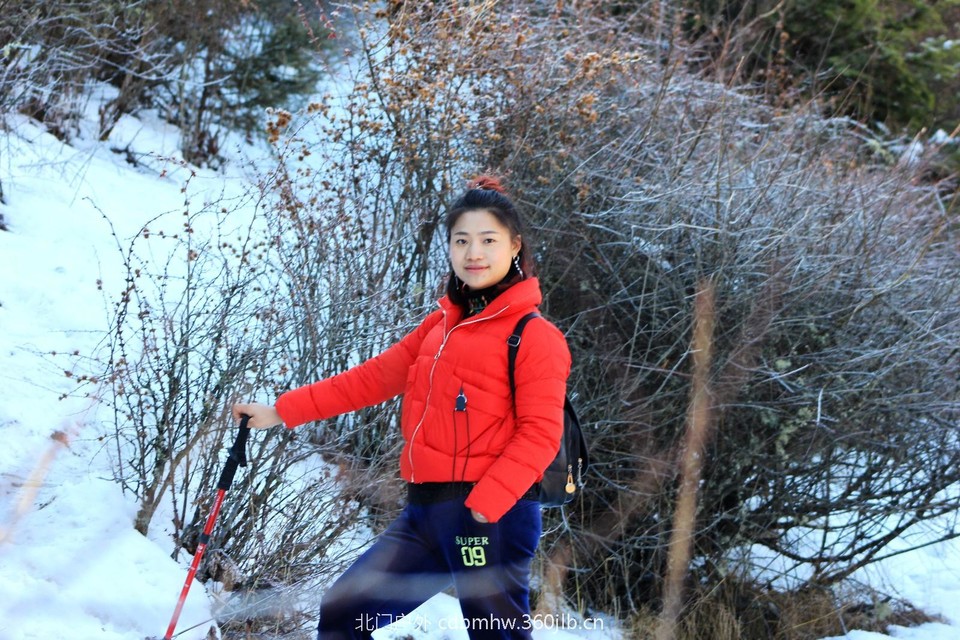 mmexport1544025471415