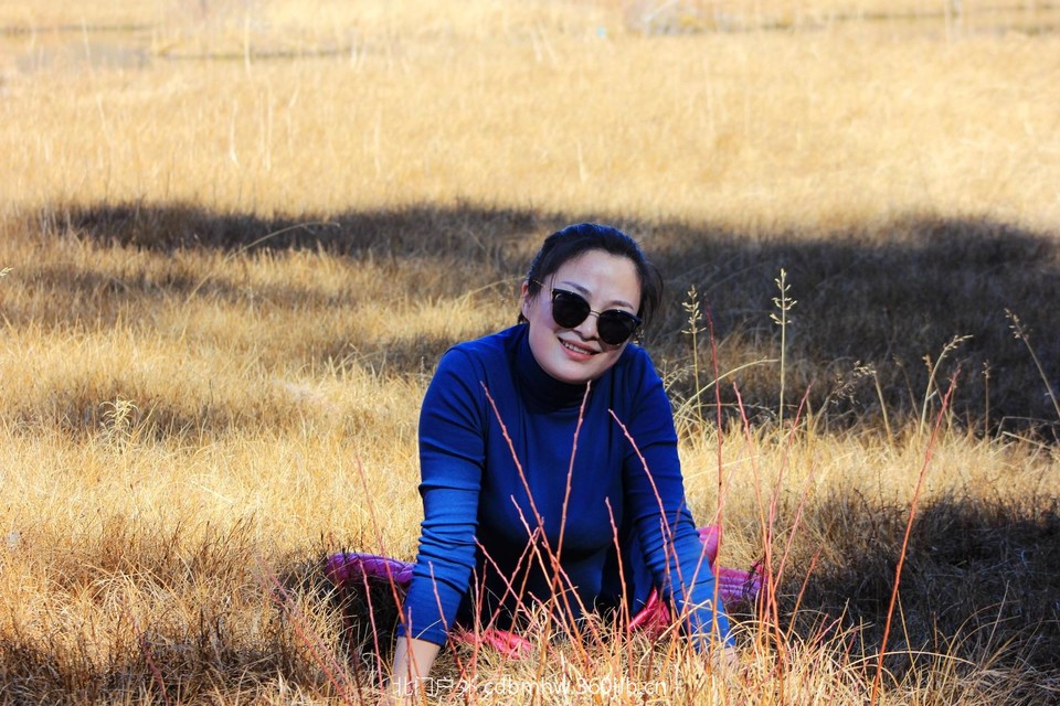 mmexport1544025489117