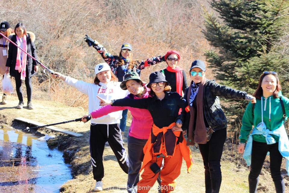 mmexport1544025332018