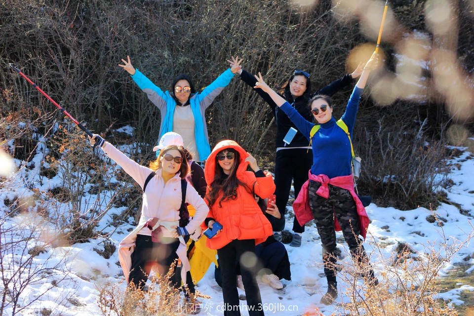 mmexport1544025358260