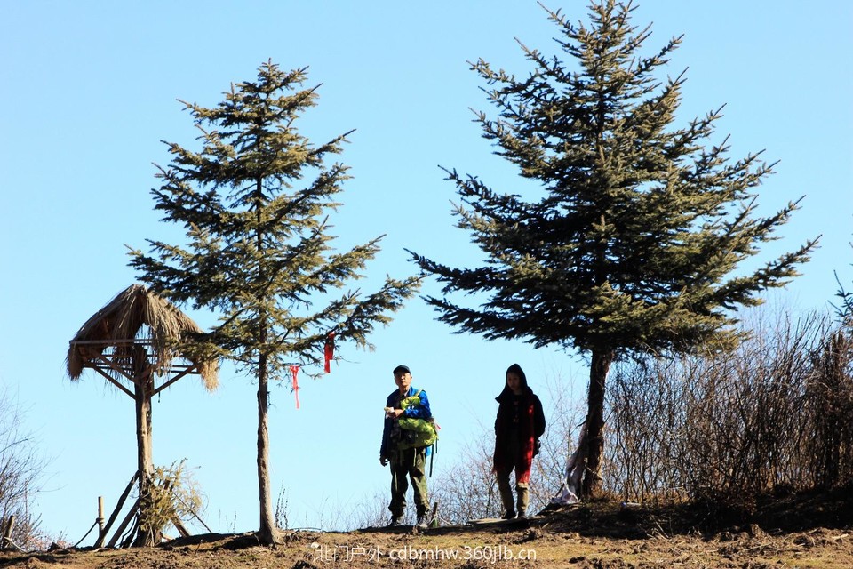 mmexport1544025209068