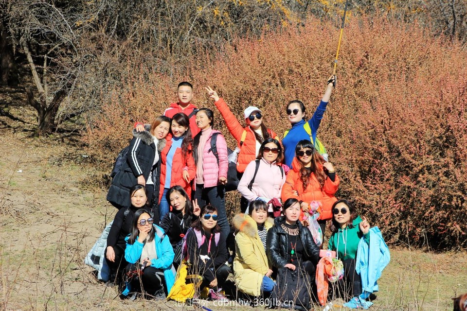 mmexport1544025293531