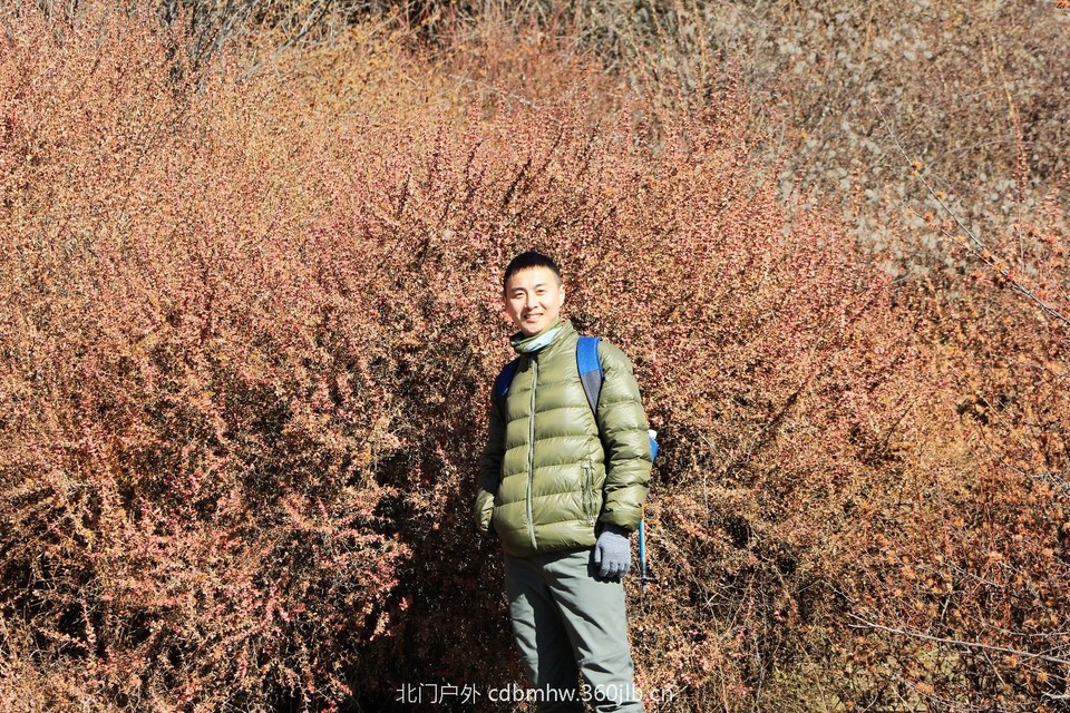 mmexport1544025183331