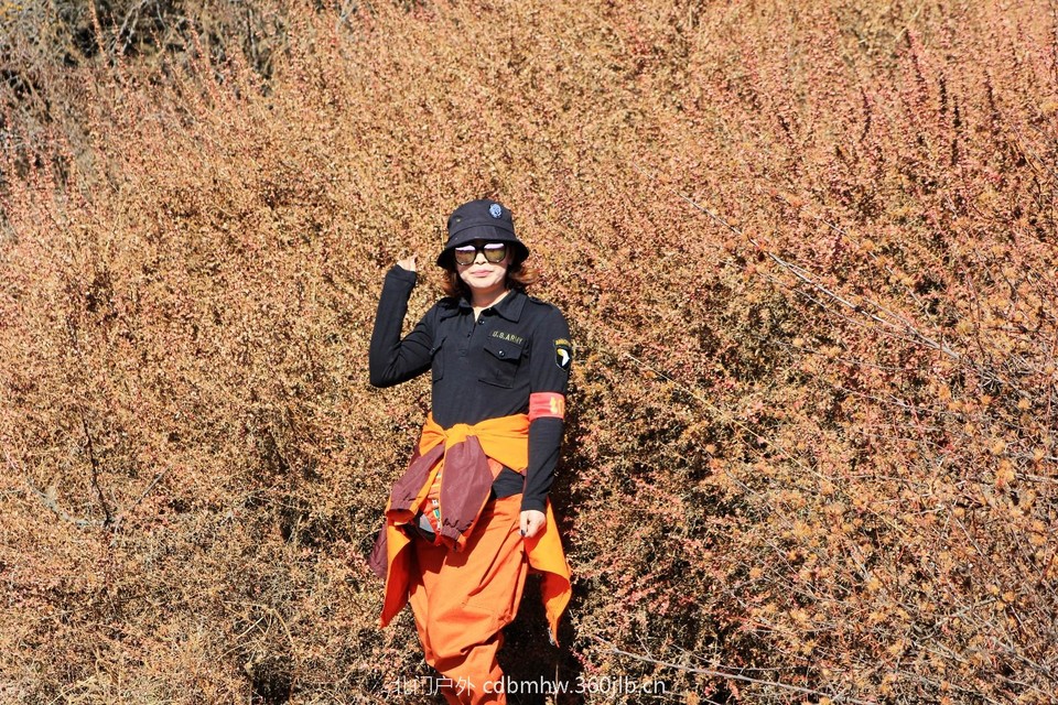 mmexport1544025262165