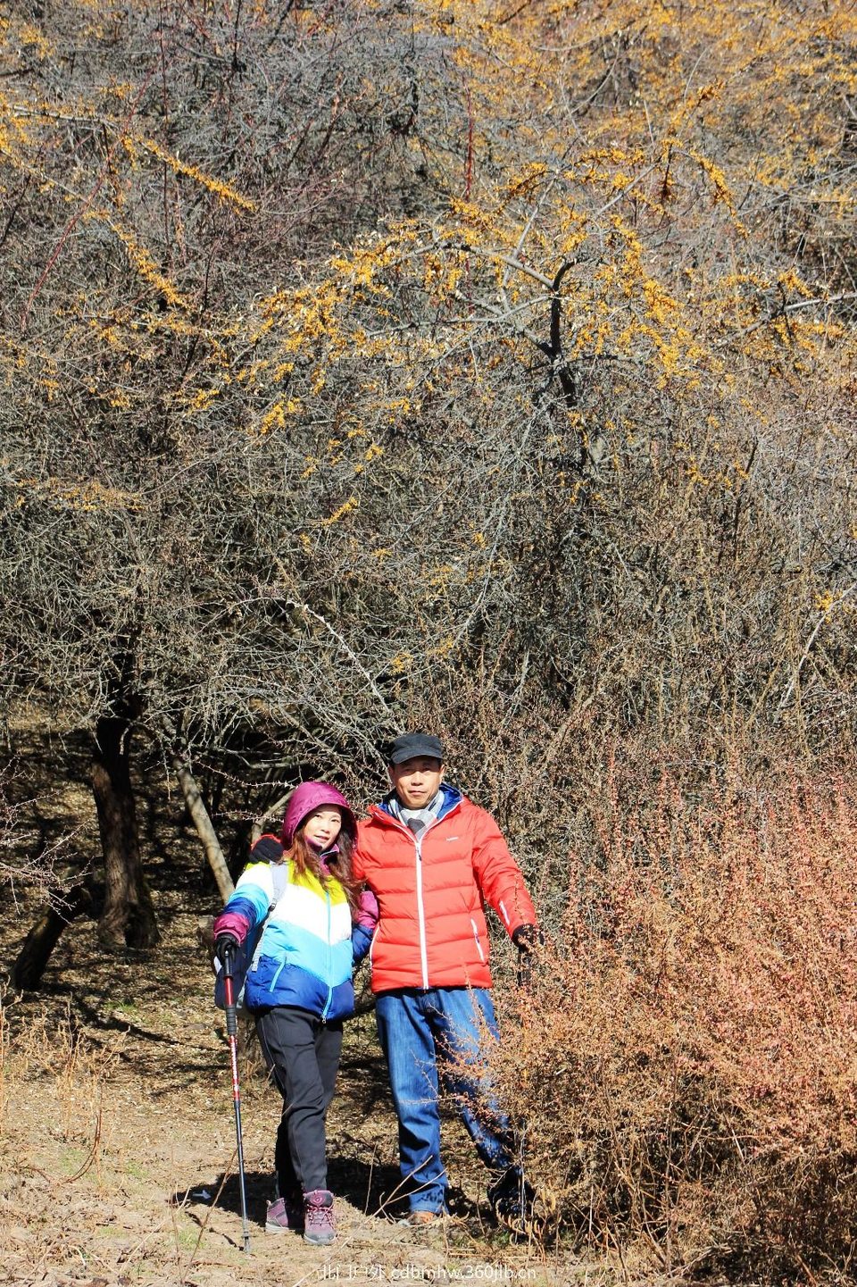 mmexport1544025226482