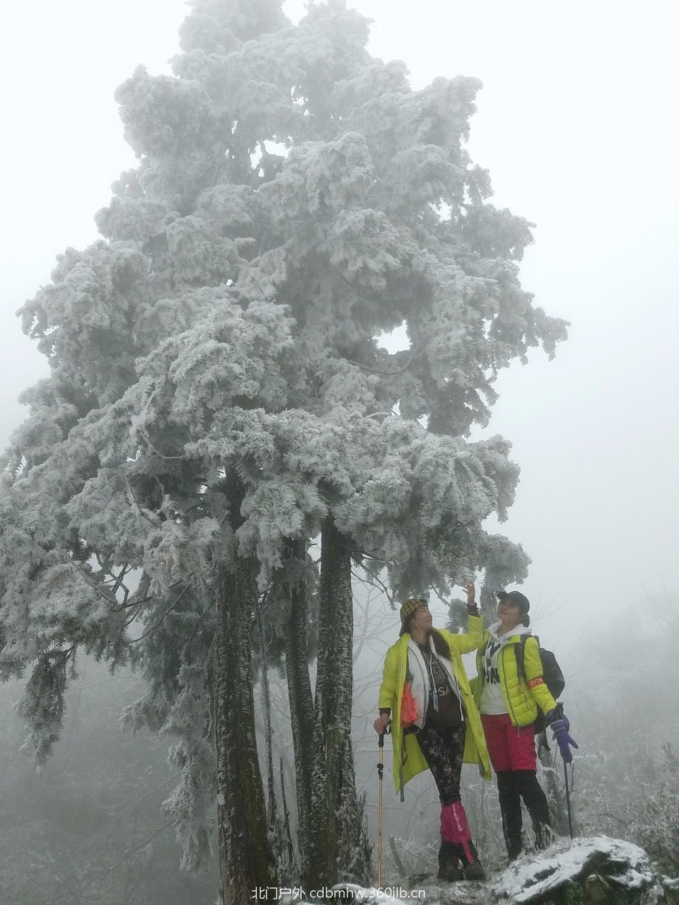 WuTa_2018-12-09_12-13-36