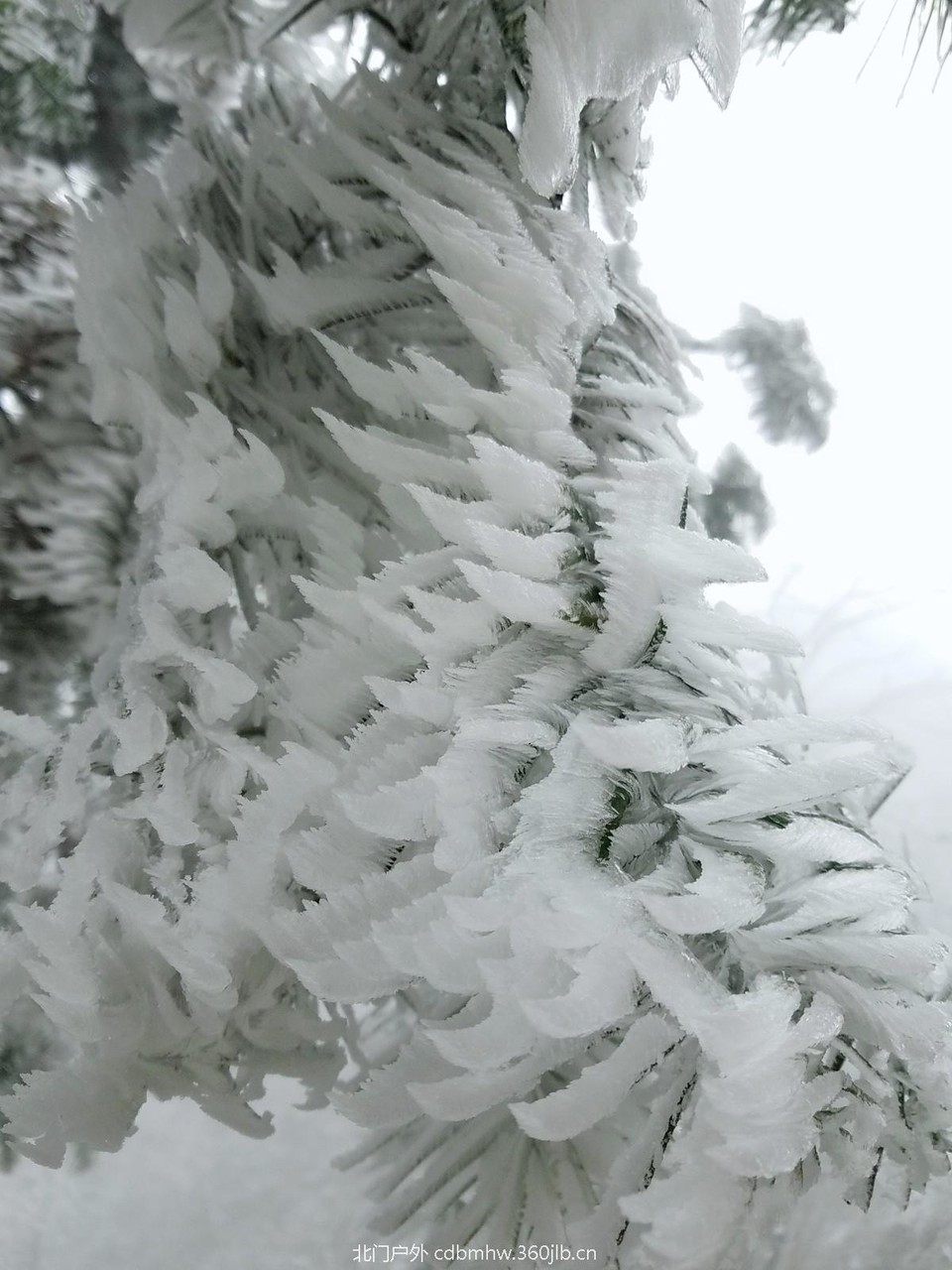 WuTa_2018-12-09_12-14-17