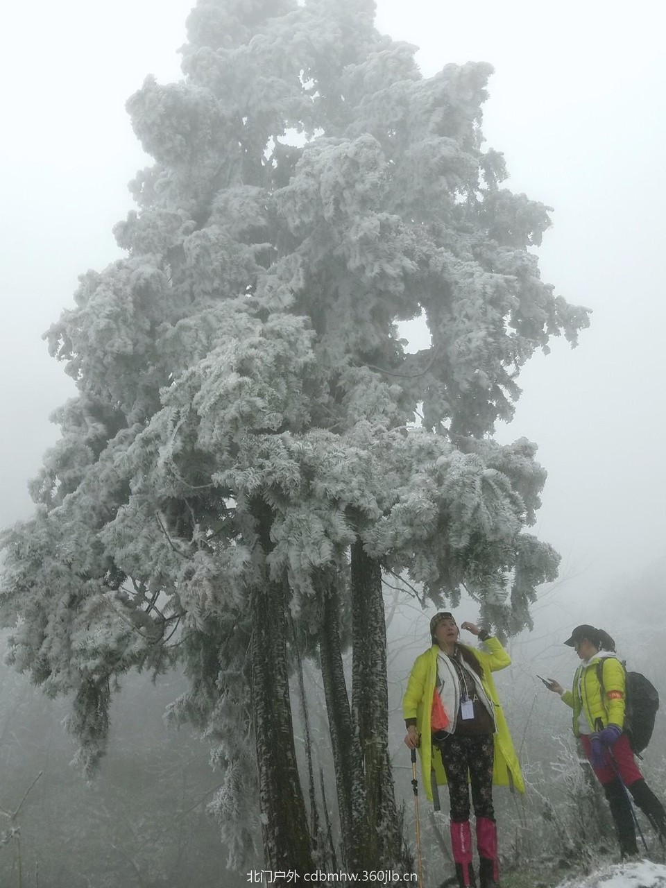 WuTa_2018-12-09_12-13-27