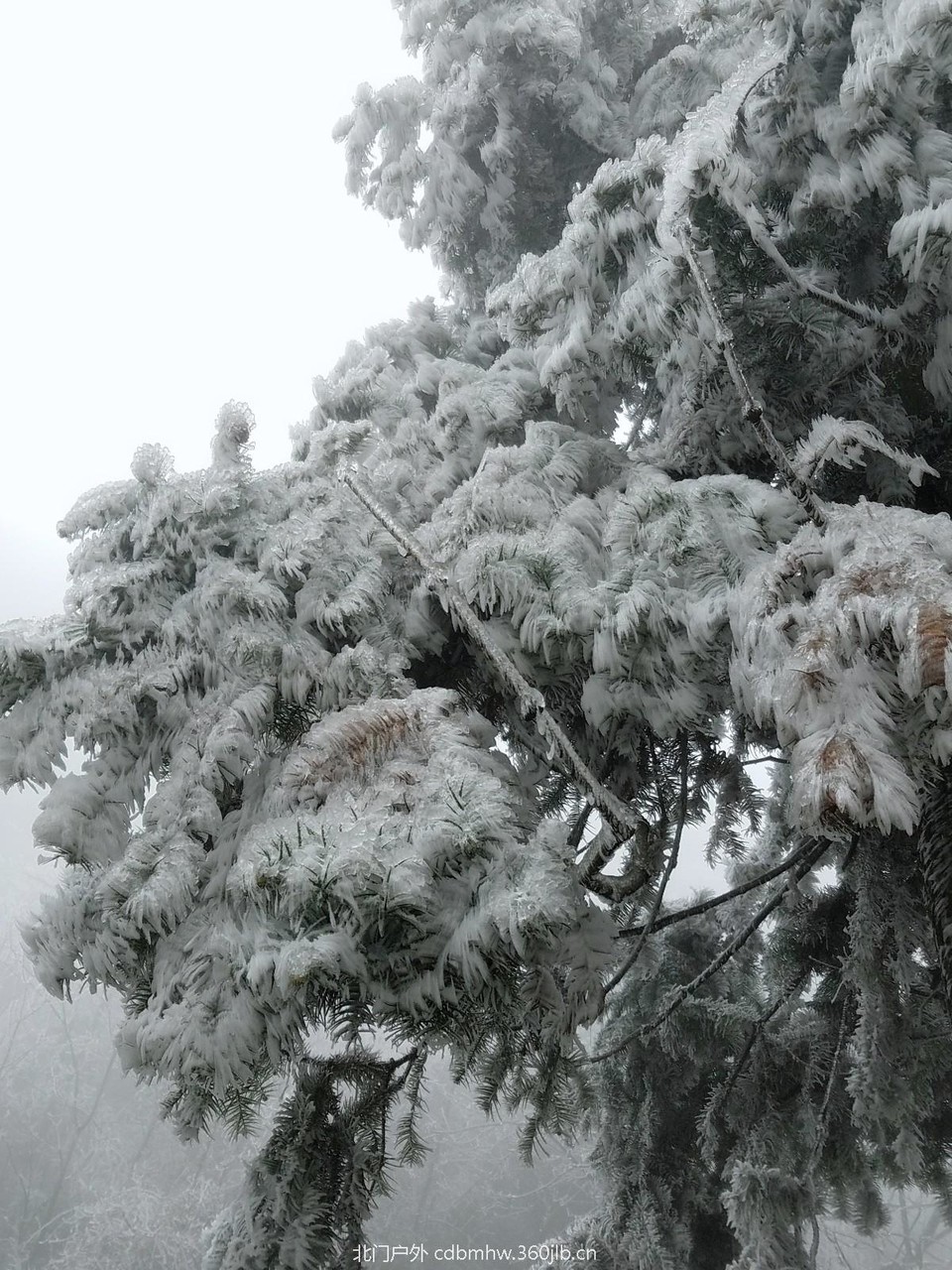 WuTa_2018-12-09_12-12-59