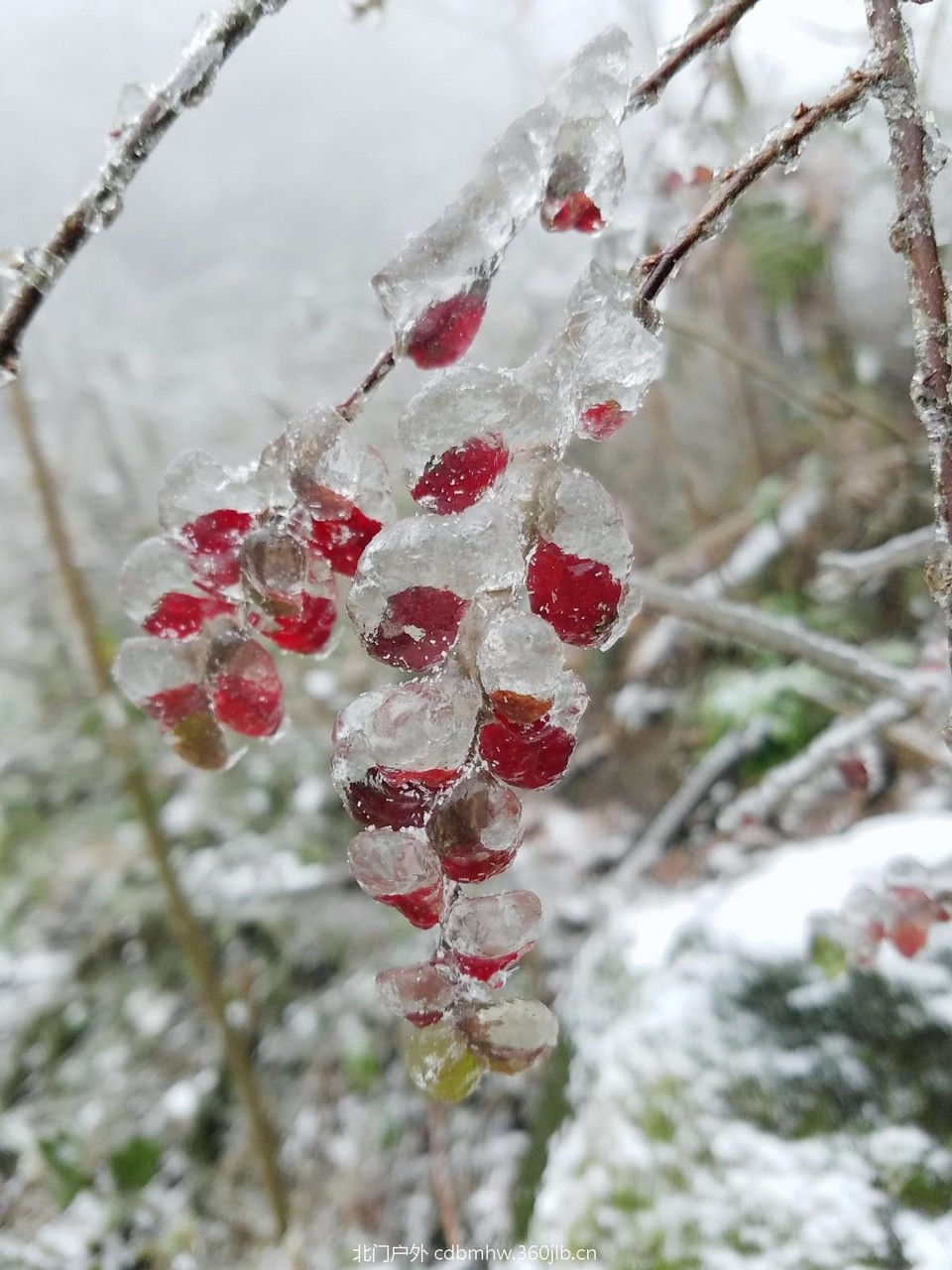 WuTa_2018-12-09_12-11-36