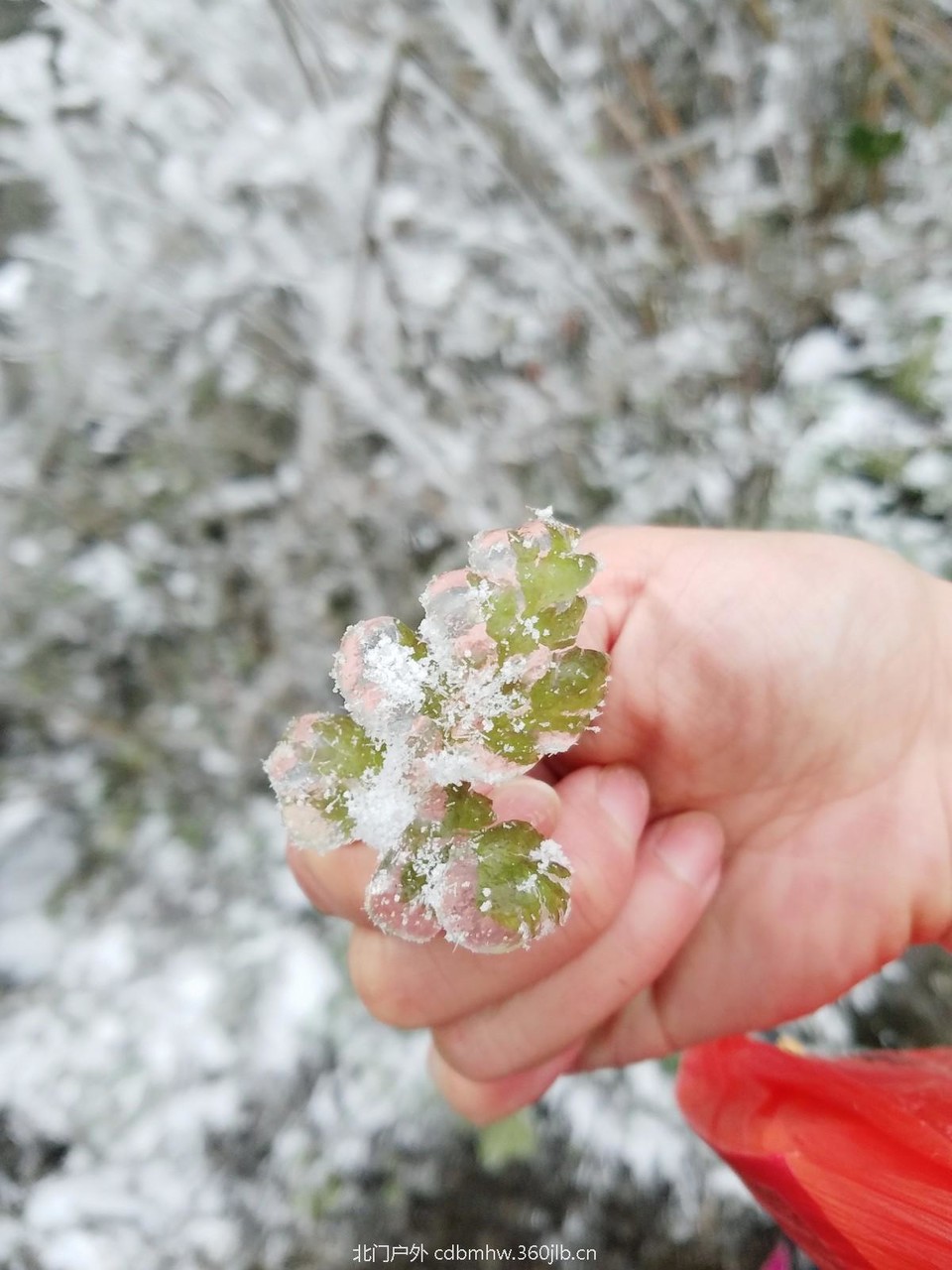 WuTa_2018-12-09_12-09-14