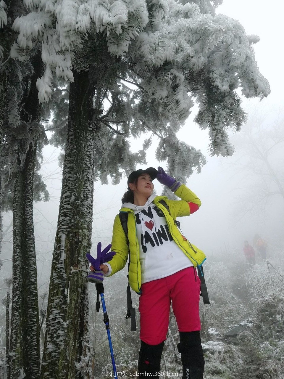 WuTa_2018-12-09_12-12-39