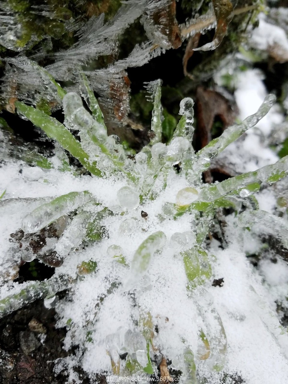 WuTa_2018-12-09_12-09-31