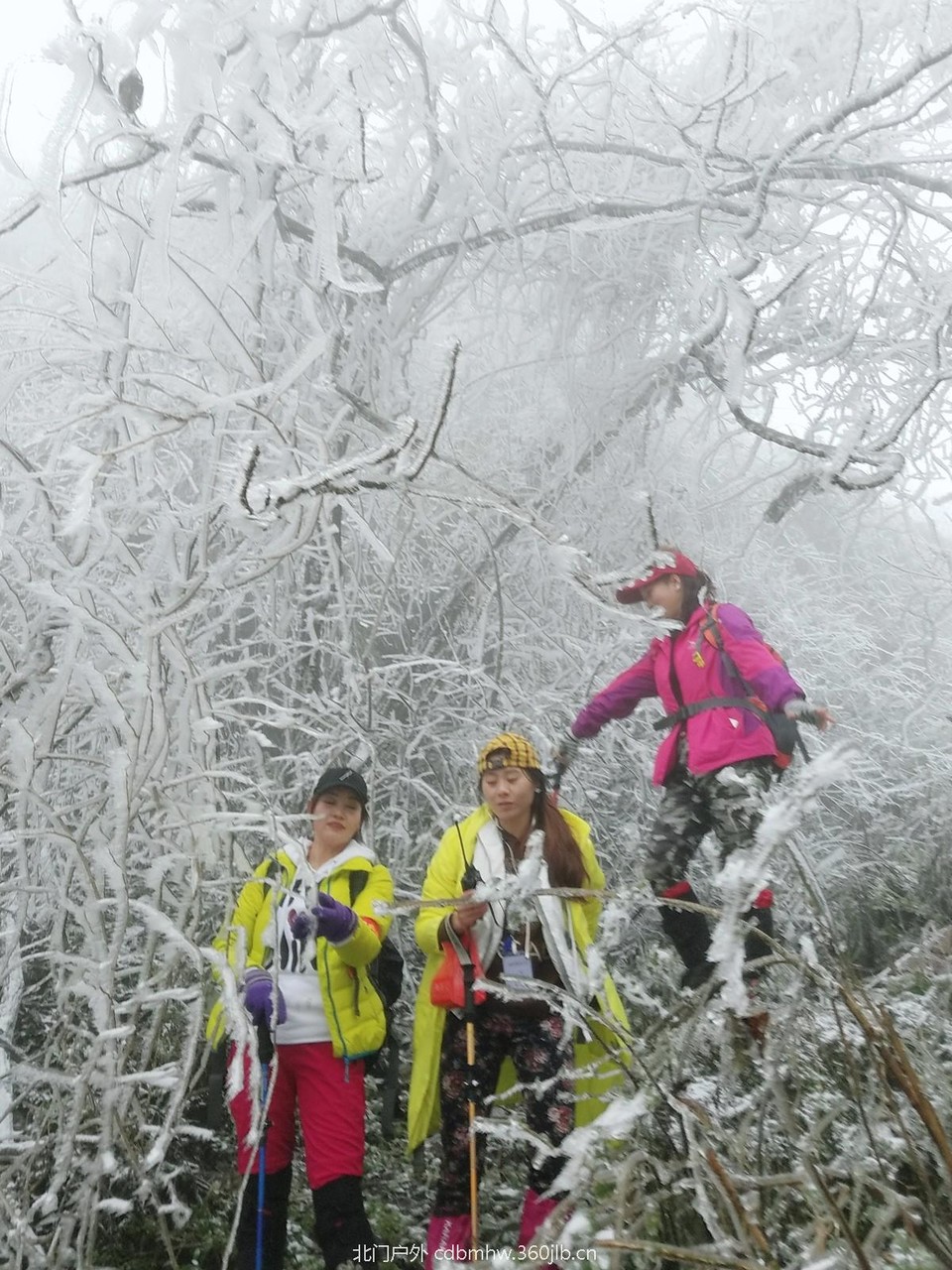 WuTa_2018-12-09_12-06-46