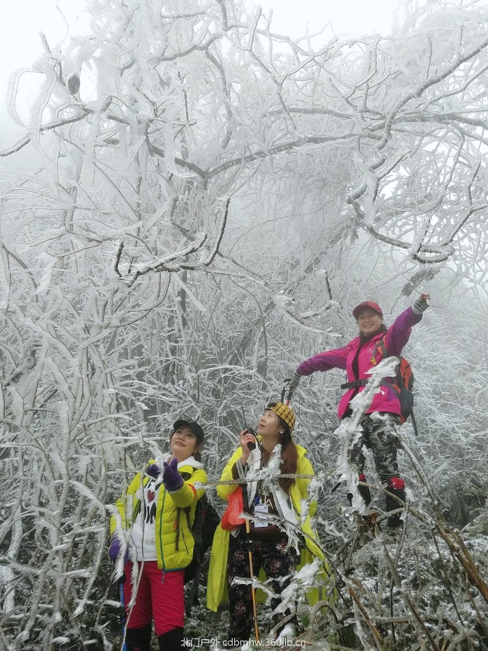 WuTa_2018-12-09_12-06-39