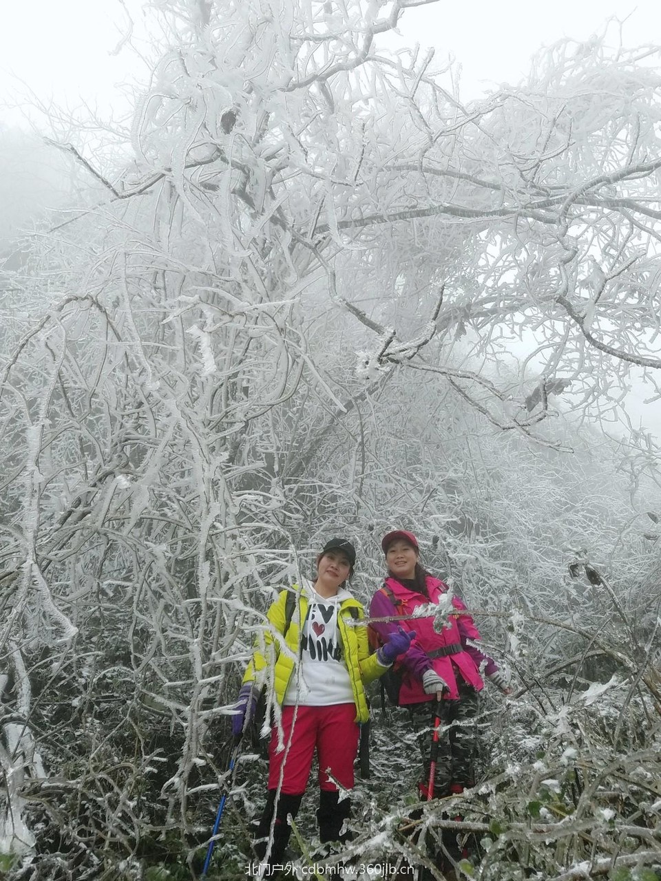 WuTa_2018-12-09_12-06-21