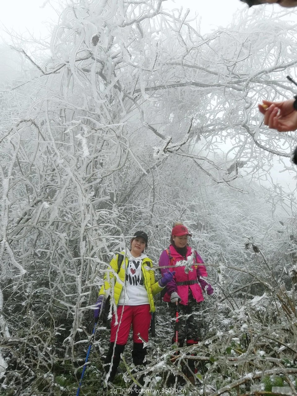 WuTa_2018-12-09_12-06-22