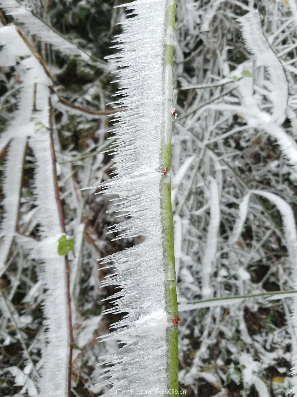 WuTa_2018-12-09_12-04-03