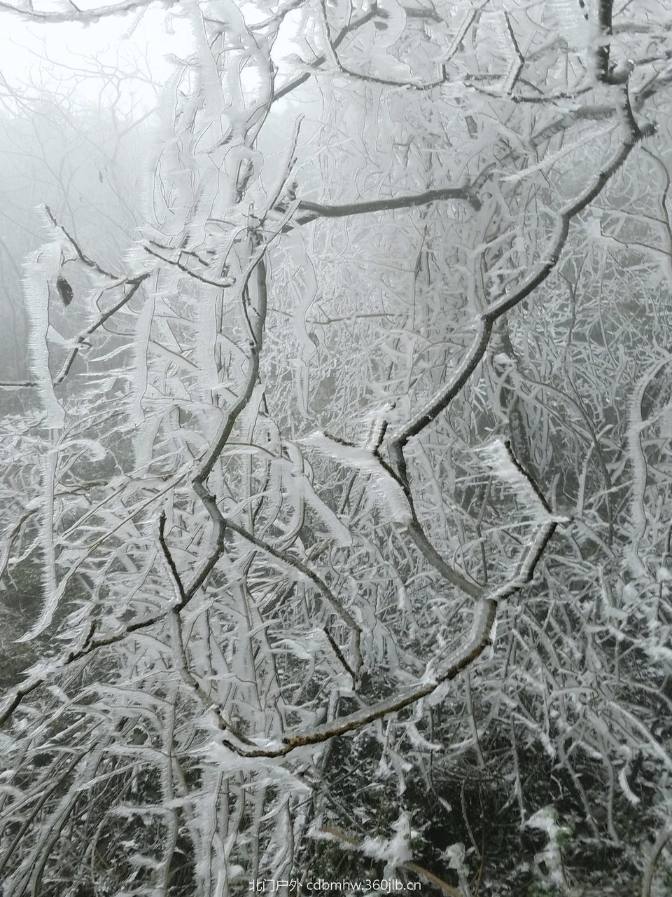 WuTa_2018-12-09_12-05-23