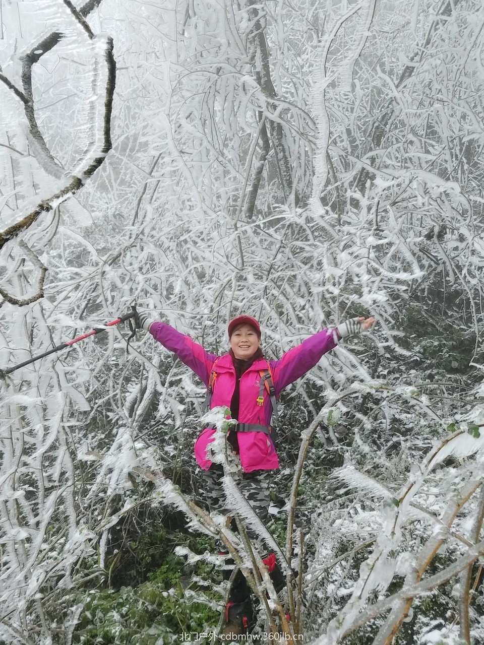 WuTa_2018-12-09_12-05-34