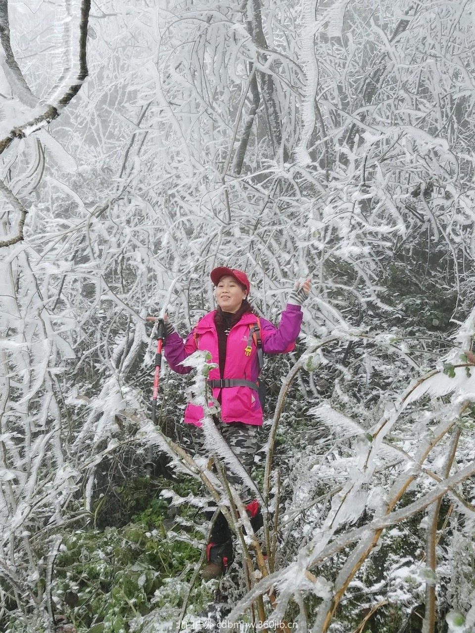 WuTa_2018-12-09_12-05-32