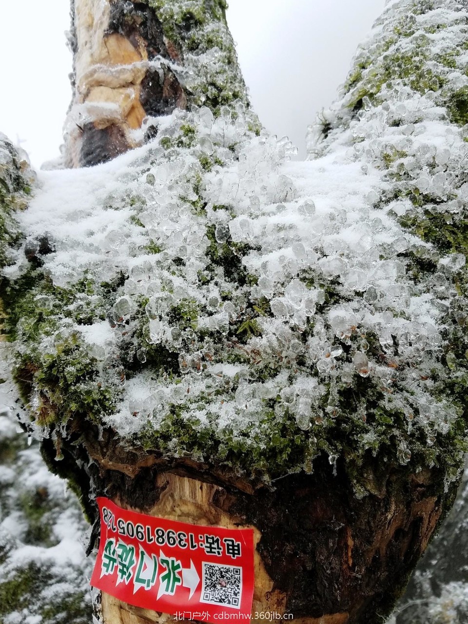 WuTa_2018-12-09_11-58-04