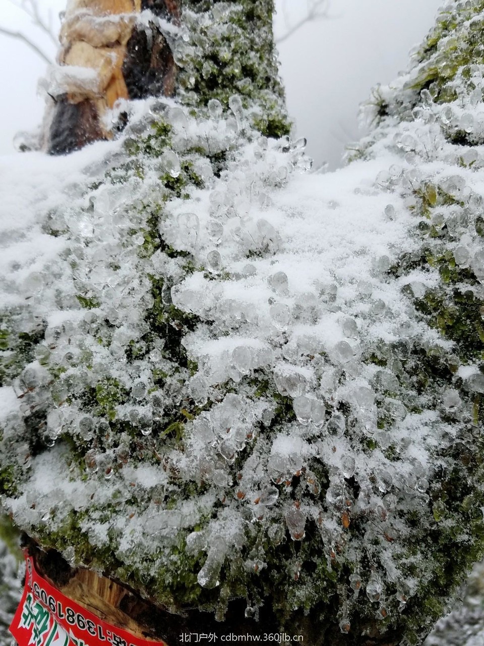 WuTa_2018-12-09_11-57-56