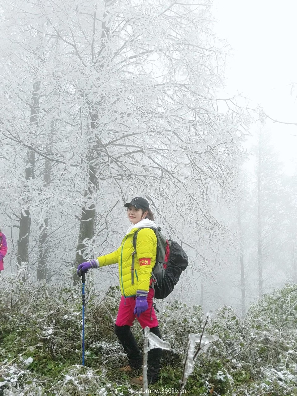 WuTa_2018-12-09_11-50-13