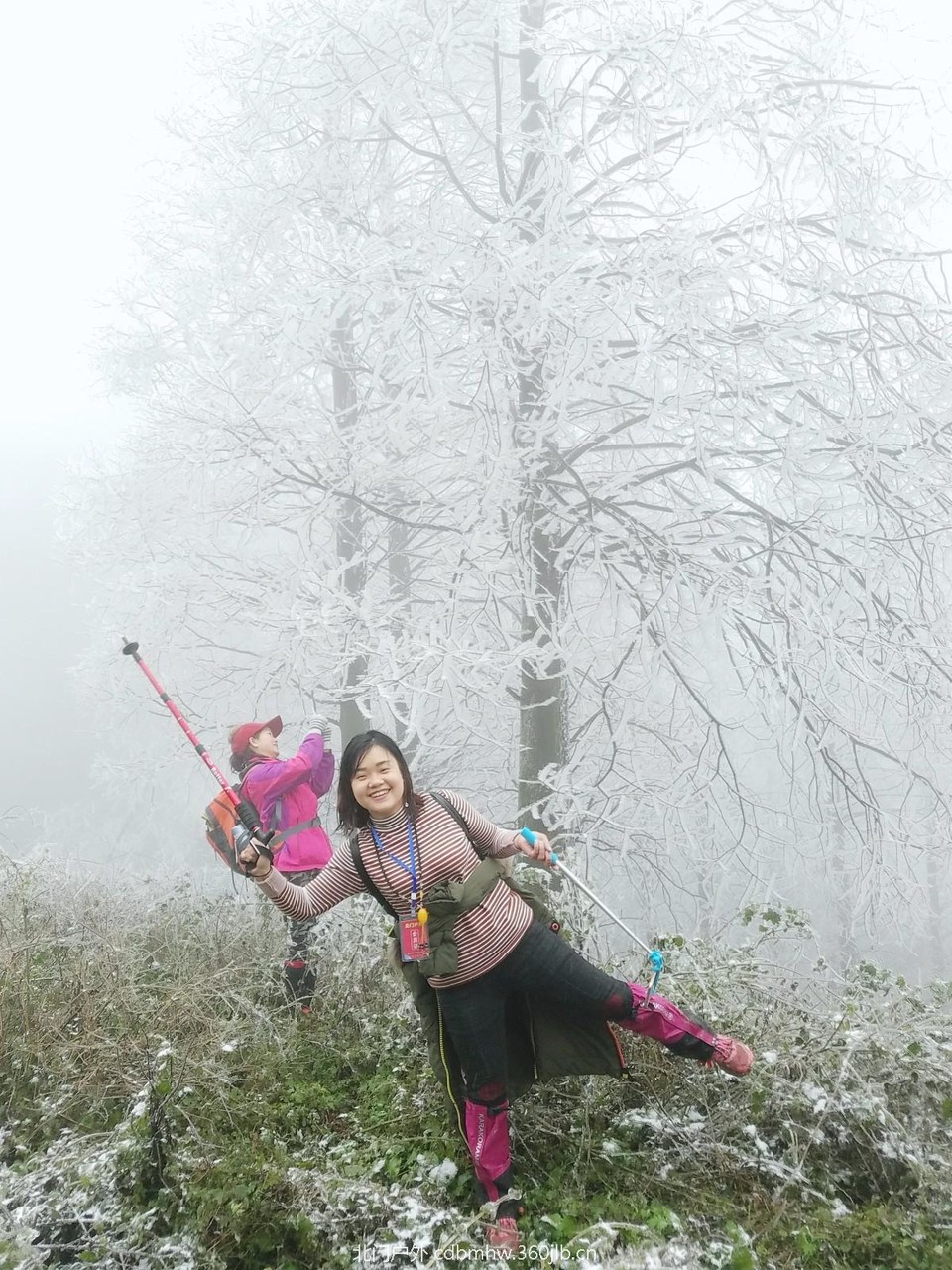 WuTa_2018-12-09_11-49-39