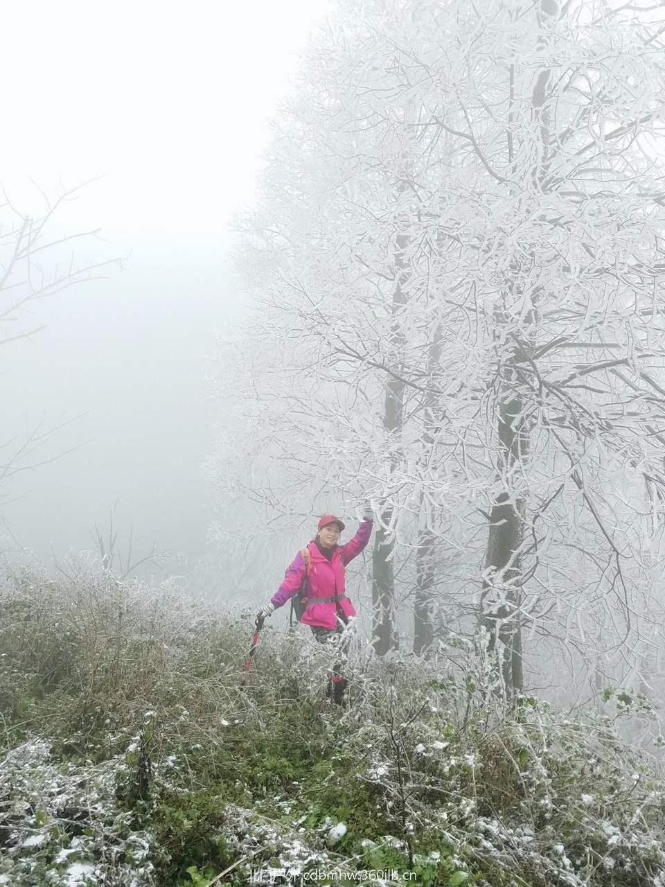 WuTa_2018-12-09_11-49-00