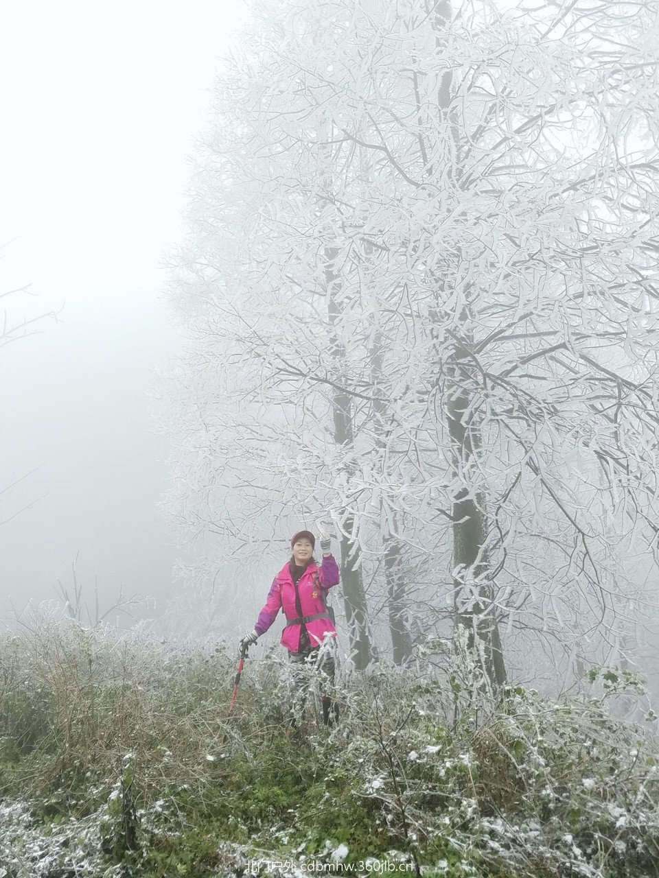 WuTa_2018-12-09_11-49-05