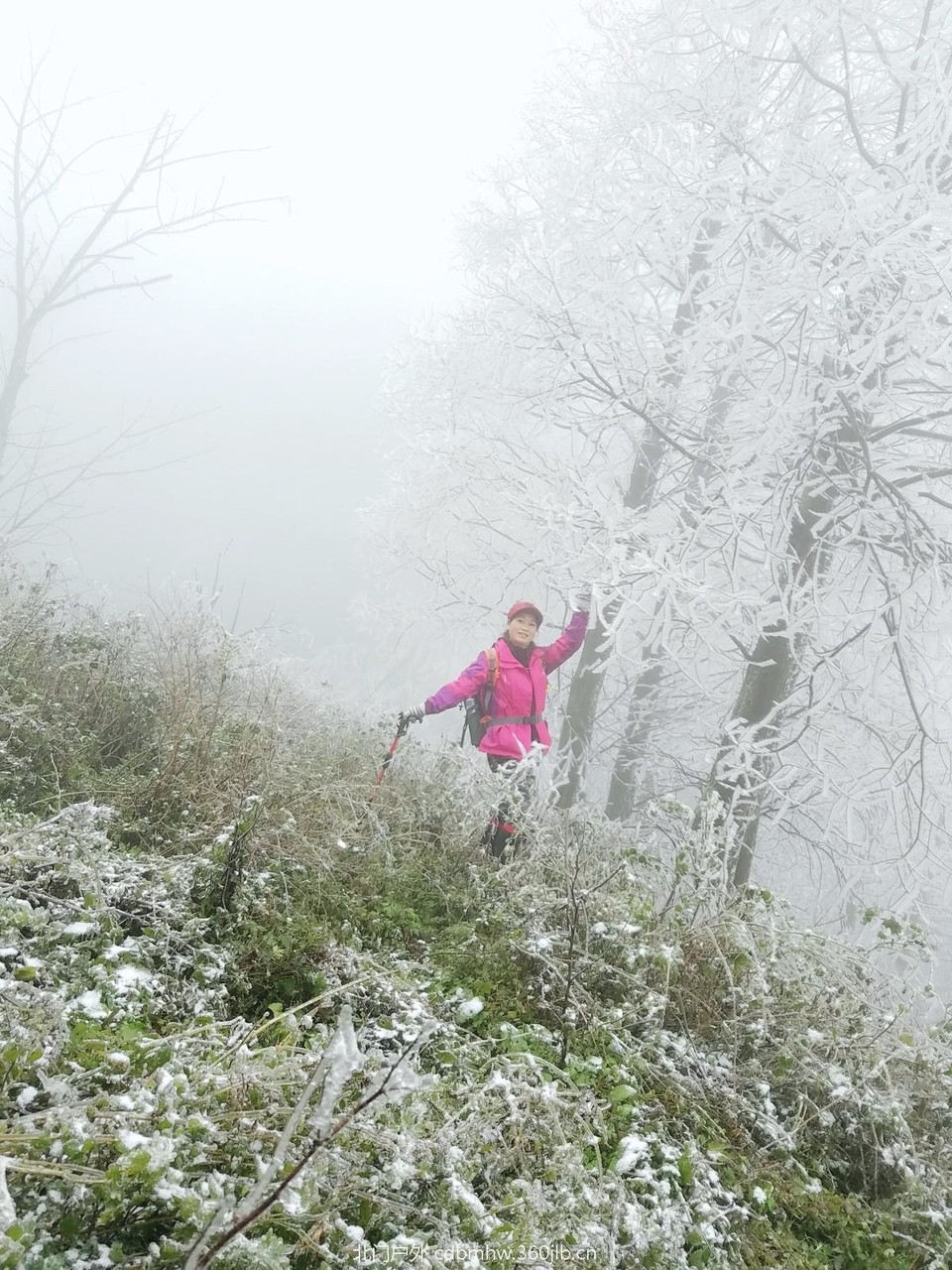 WuTa_2018-12-09_11-48-53