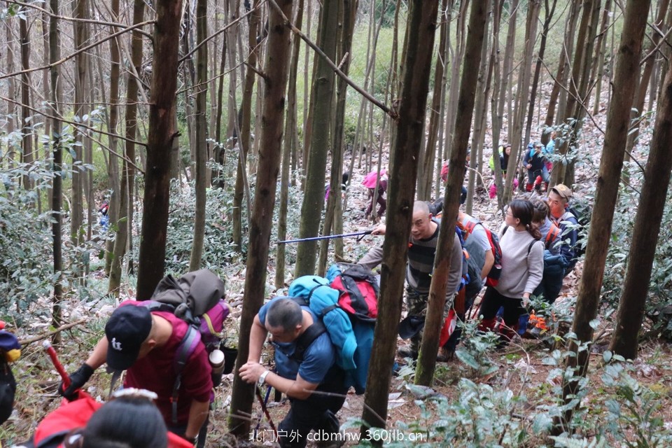 77251396-ADCA-4D20-8574-32D8C79A9BF9