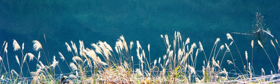 B8A3F387-A851-47D7-A5F1-4D0E41206FF6