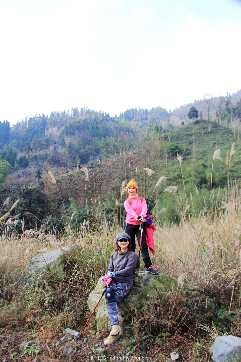 E6B1E620-FED3-4BCD-9215-02AAD16309CF