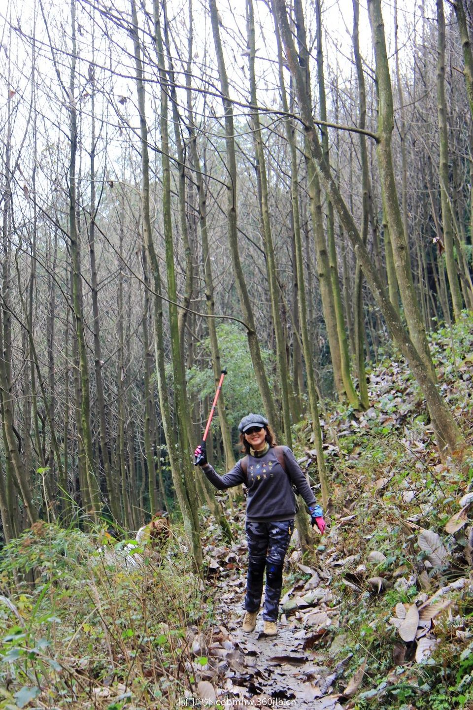 B7C25754-1927-4D69-AC6B-CB83564EC88E