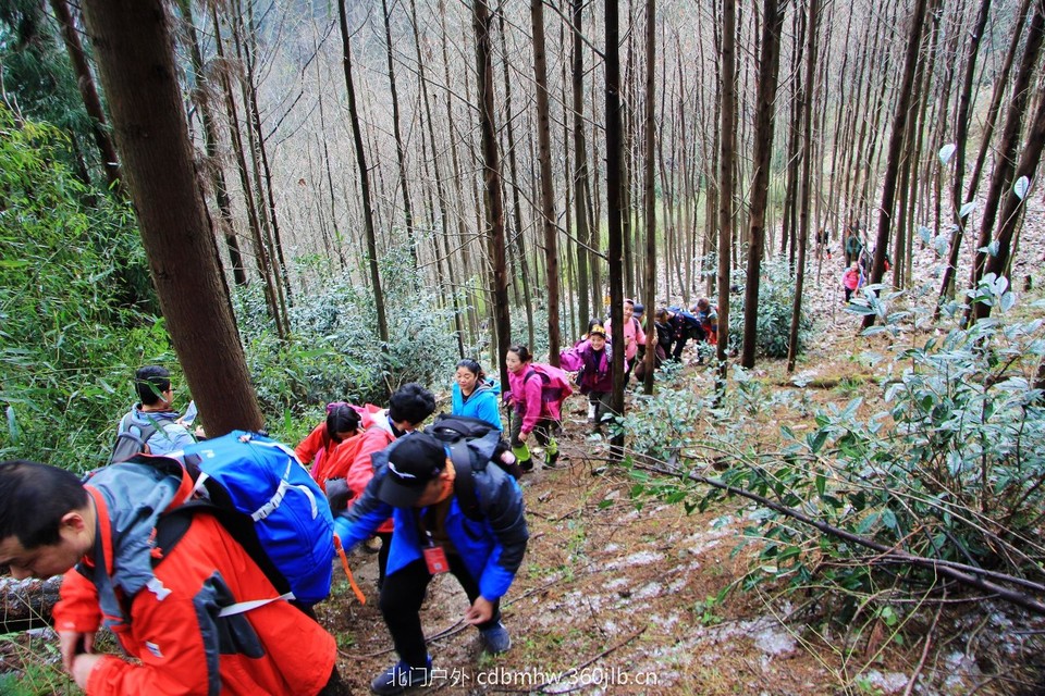 AB7251F3-01AD-4C36-8517-F7BEF10B4F7E