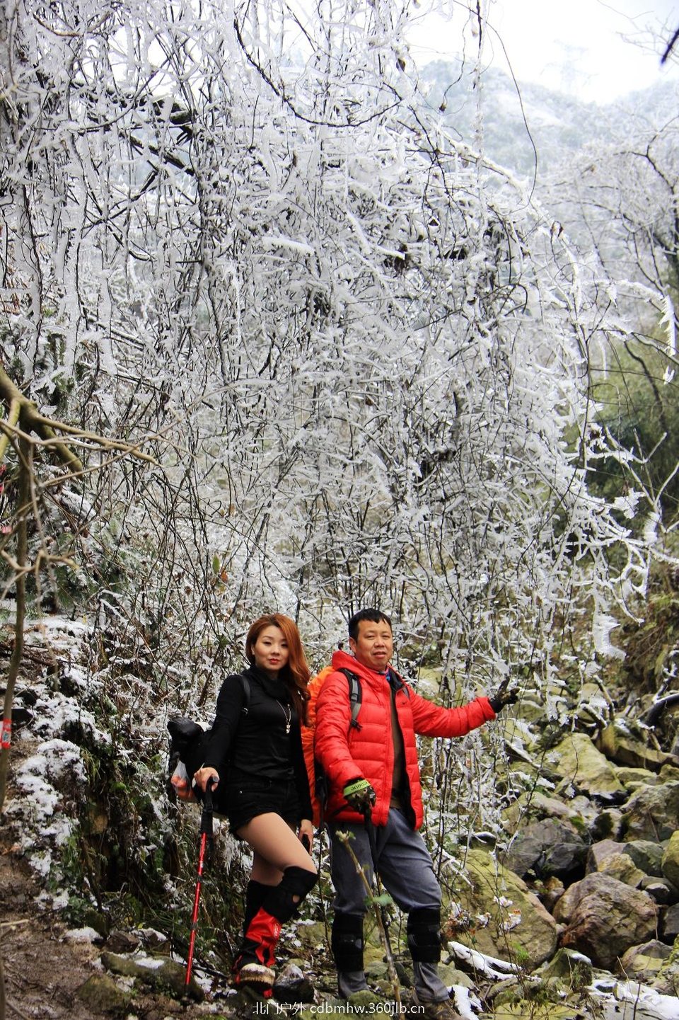 26A0CEE5-9BDC-470F-826C-E8E2BC0D7403