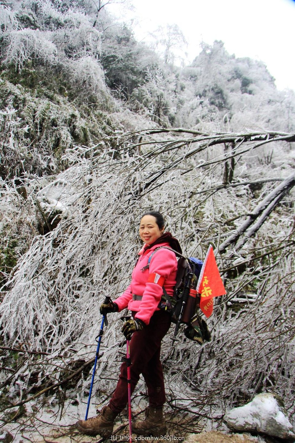 AED334B5-6536-43E2-AEA1-ECA3722537DA