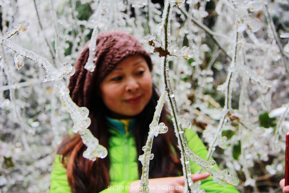 D758A18B-59B4-4FCD-897E-7405D2749117