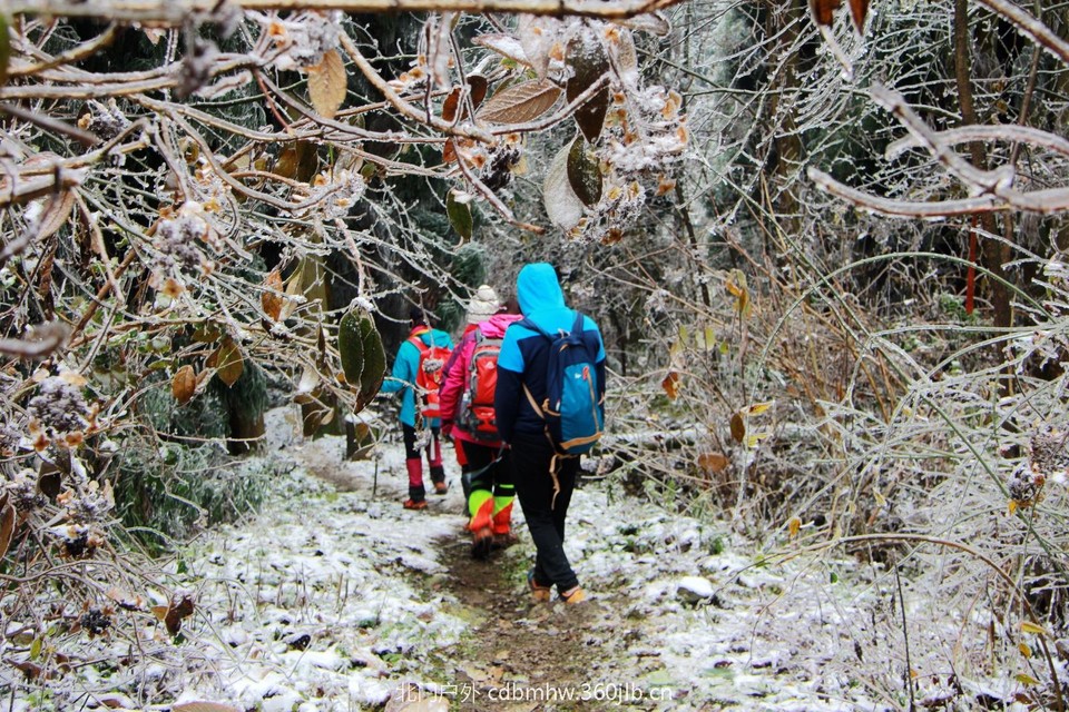 20D1AD29-8E2A-4C3B-9340-792245F99CFE