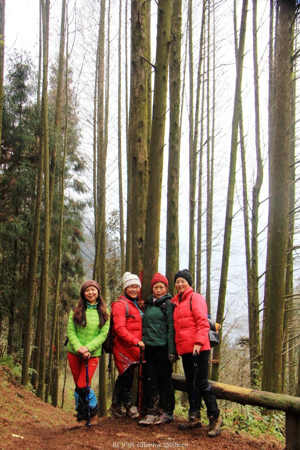 C03A3F31-109C-4FBA-8986-69D19D54B222