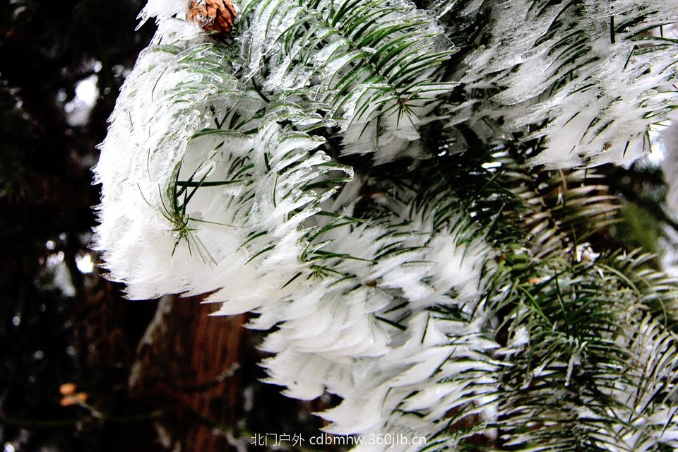 9CE9A442-BACE-4BF4-B0C0-A141F3D5F8F9