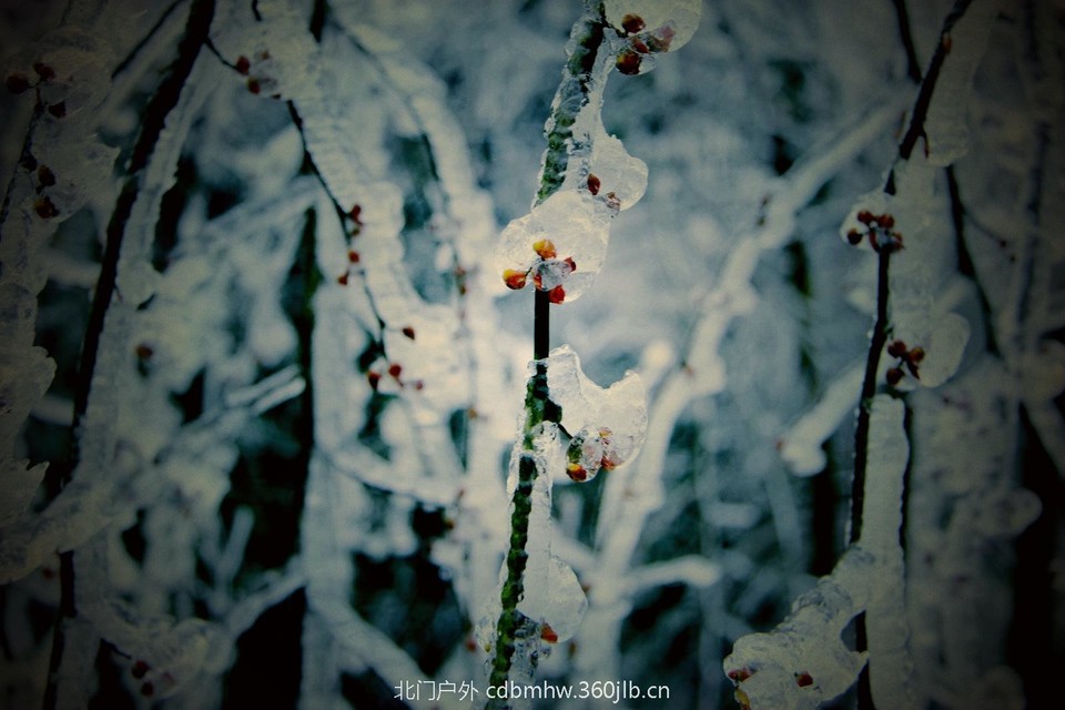 DCC70DEF-753B-4F56-8EF6-97B3FE7715A4