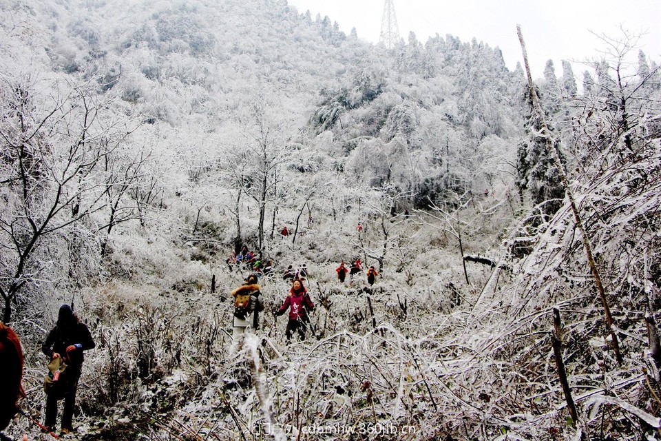 36021030-4E26-41FE-BA2E-F4D942C6B837