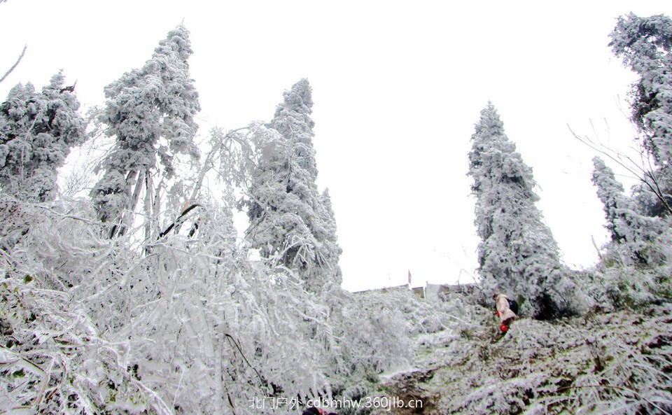 C9E46F94-8AC7-4CB0-9198-25B0C70FAD43